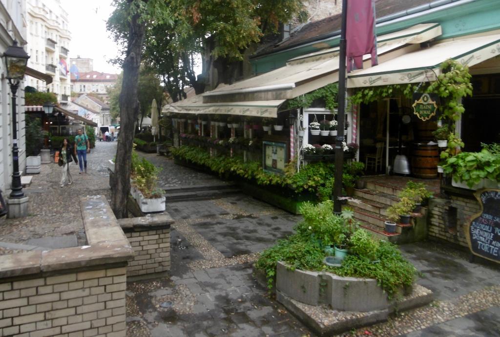 Apartment Nedic Beograd Ngoại thất bức ảnh